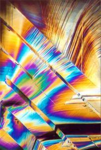 H29 Makrogalerie Fotografie Geschenkkarten Poster Wandbilder Interferenz