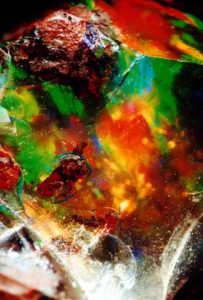 H60 Makrogalerie Fotografie Geschenkkarten Poster Wandbilder EdelopalHarlekin