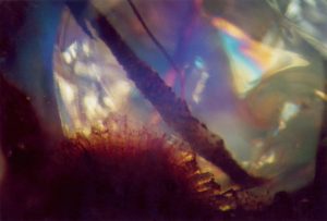 Q53 Makrogalerie Fotografie Geschenkkarten Poster Wandbilder OpalWasserplanet